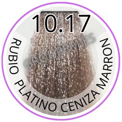 TINTE RUBIO PLATINO CENIZA MARRON DE PELO PROFESIONAL FANOLA 10.17