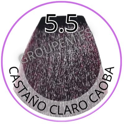 TINTE CASTAÑO CLARO CAOBA DE PELO PROFESIONAL FANOLA 5.5 100ml