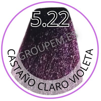TINTE CASTAÑO CLARO VIOLETA DE PELO PROFESIONAL FANOLA 5.22 100ml TINTE CASTAÑO CLARO VIOLETA DE PELO PROFESIONAL FANOLA 5.22 100ml