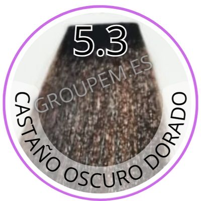 TINTE CASTAÑO OSCURO DORADO DE PELO PROFESIONAL FANOLA 5.3 100ml