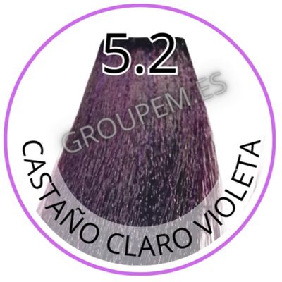 TINTE CASTAÑO CLARO VIOLETA DE PELO PROFESIONAL FANOLA 5.2 100ml TINTE CASTAÑO CLARO VIOLETA DE PELO PROFESIONAL FANOLA 5.2 100ml