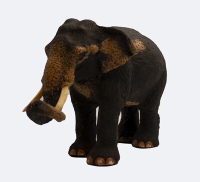 Elecosy : Elephant statues in different sizes : Medium