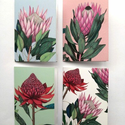 Silvan Cape Town : A6 individual cards