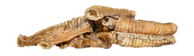 Lamsluchtpijp