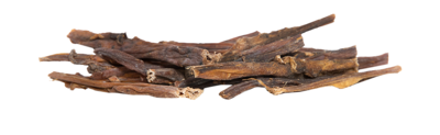 Kamelenpens
