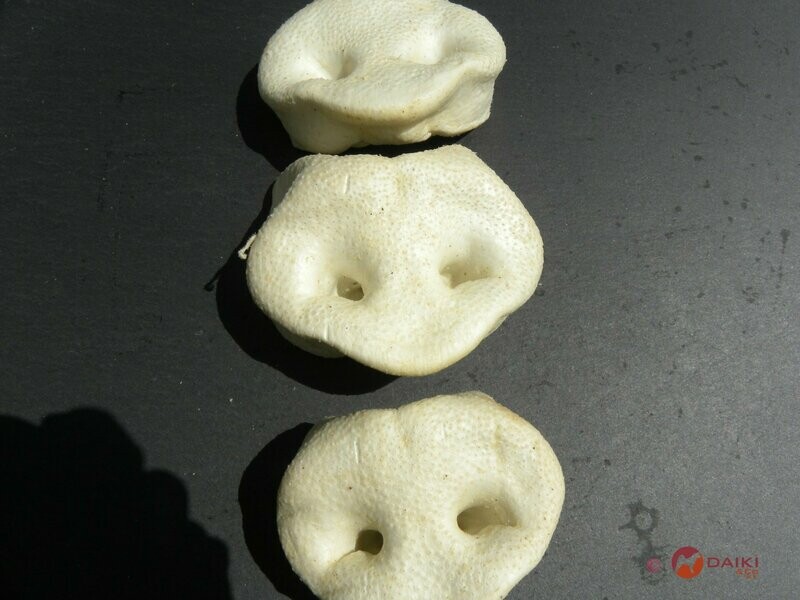 3 Schweinenasen