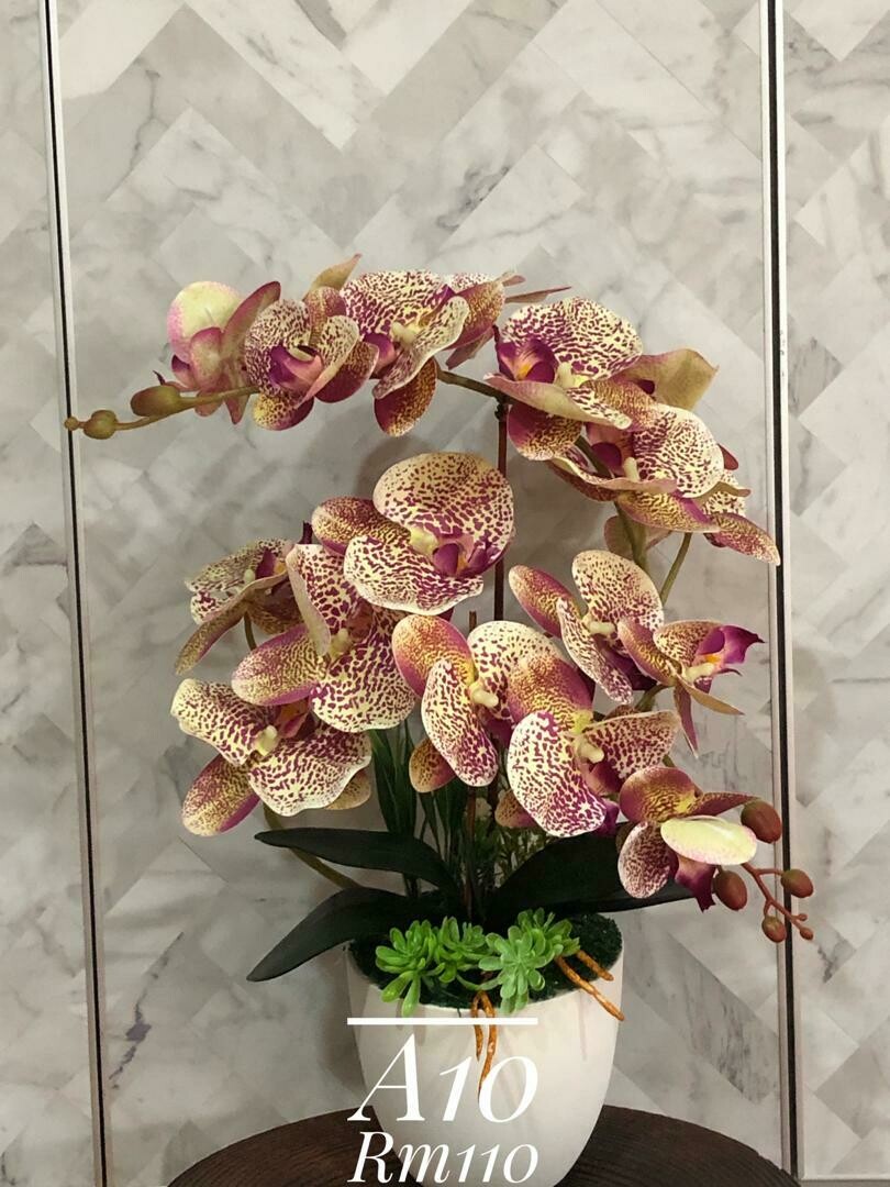 Bunga orkid hiasan meja