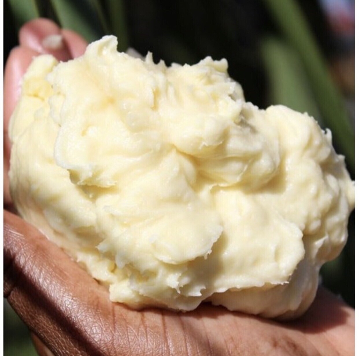 100% organic Unrefined Shea Butter from Ghana