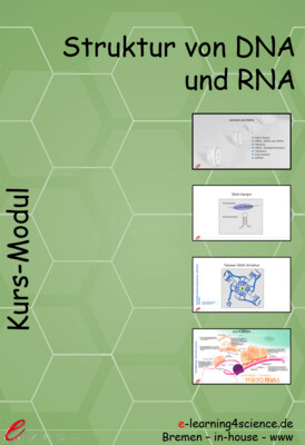 Struktur von DNA und RNA