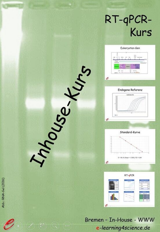 RT-qPCR (inhouse)