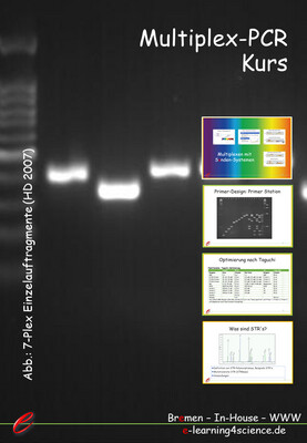 Multiplex-PCR-Kurs