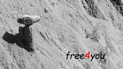 free4you (Kostenfrei für Sie)