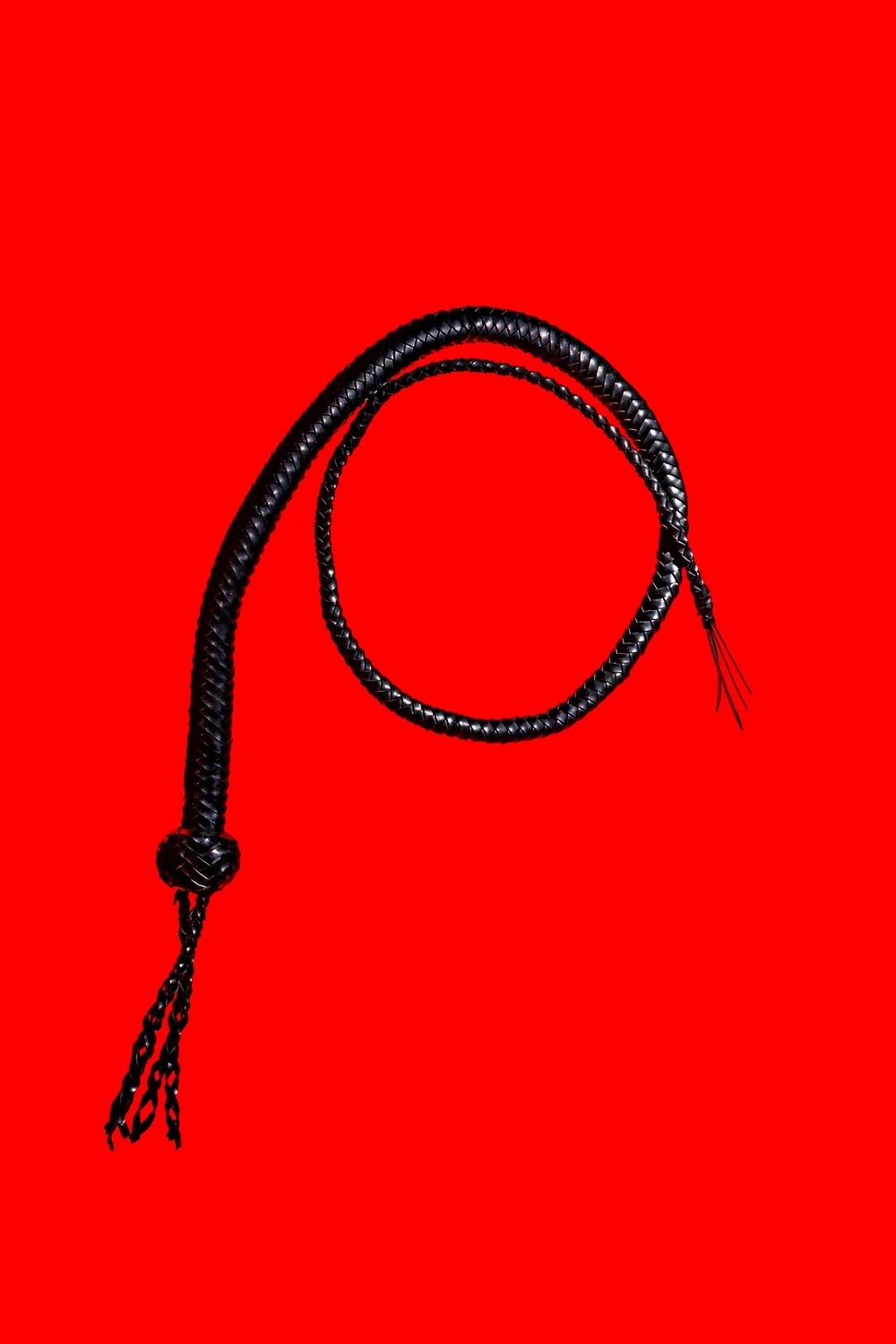 &quot;whip&quot; fine art photographic print