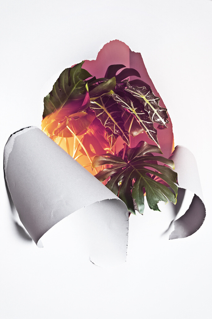 &quot;simulated vacation&quot; series print