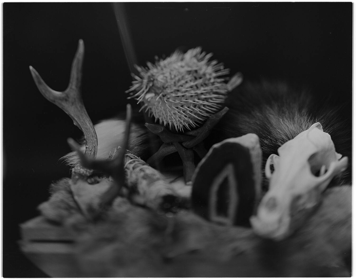 &quot;alter #2&quot; fine art photographic print