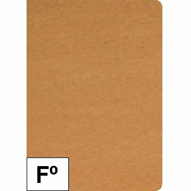 SUBCARPETA FOLIO KRAFT 170 GR. 50U.