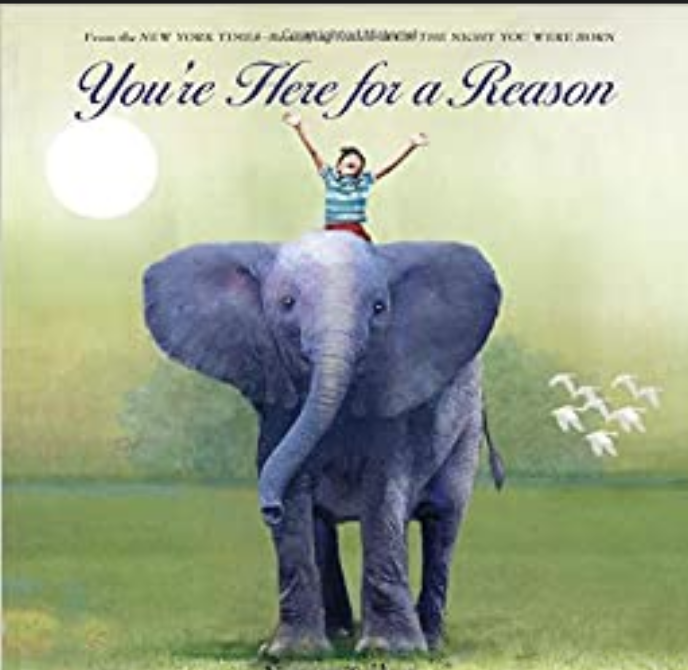 You're Here For a Reason Board book