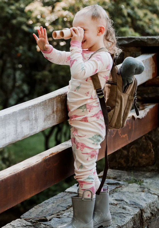Jurassic Territory Set-Wild Rose