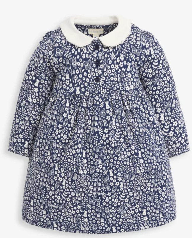 Winter Floral Peter Pan Dress NAV34