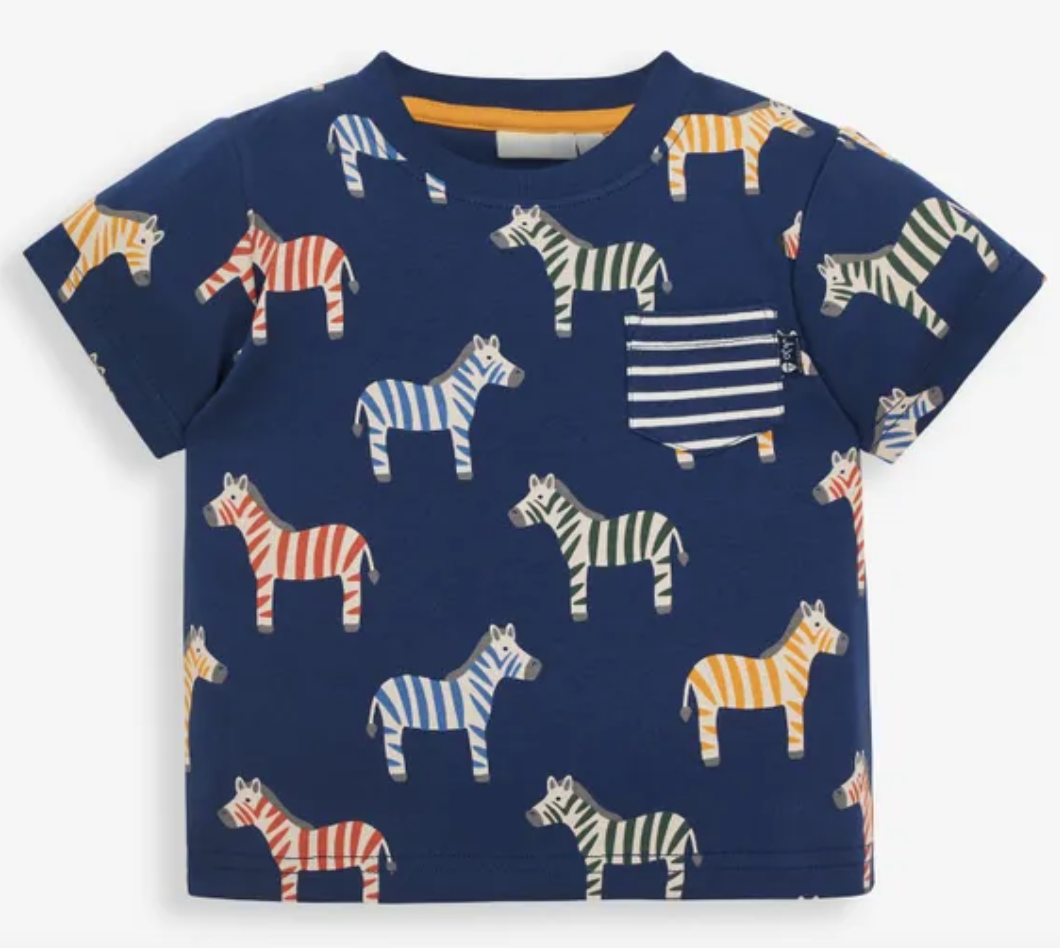 Multicolour Zebra Print T-Shirt 12-18 mos