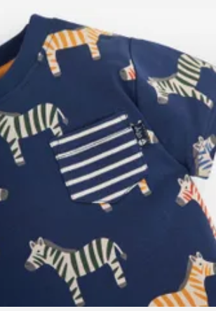 Multicolour Zebra Print T-Shirt 12-18 mos