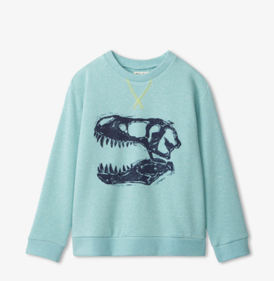 Dino Fossil Pullover Sweatshirt