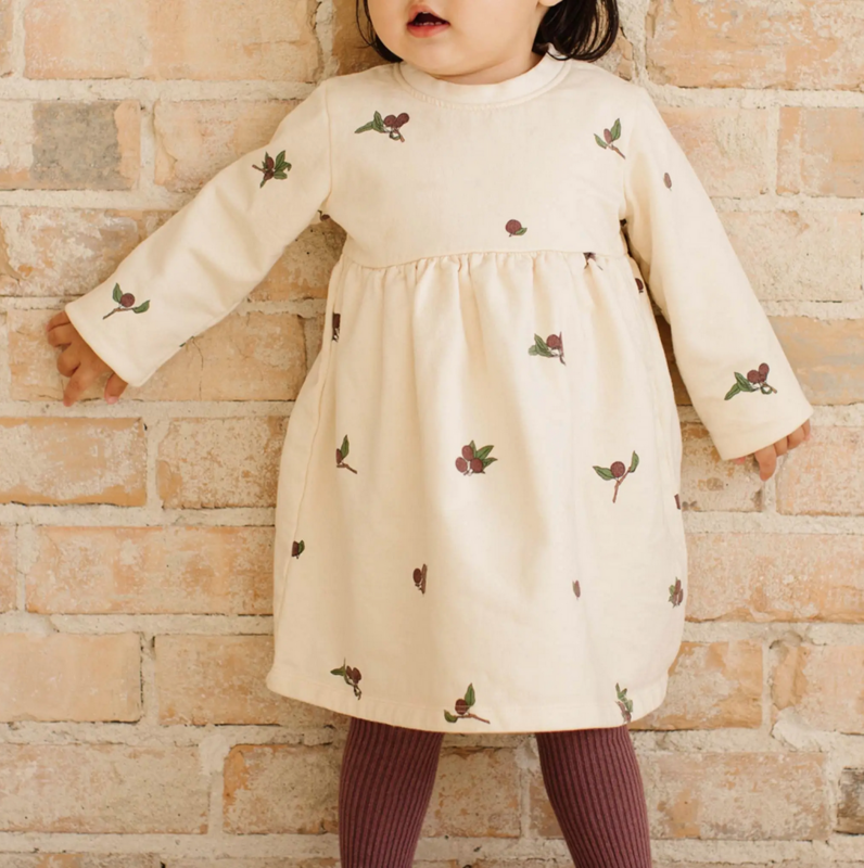 The Blueberry Hill L/S Dress Plum