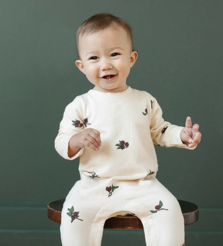 The Blueberry Hill L/S Romper Plum