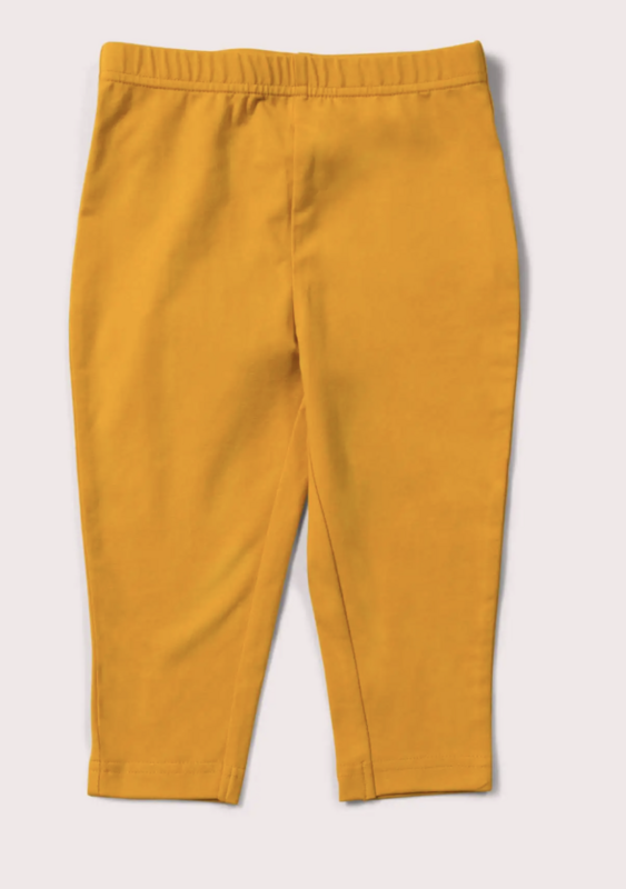 Golden Leggings