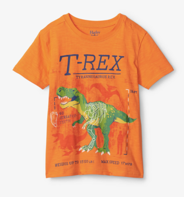 T-Rex glow in the dark graphic tee
