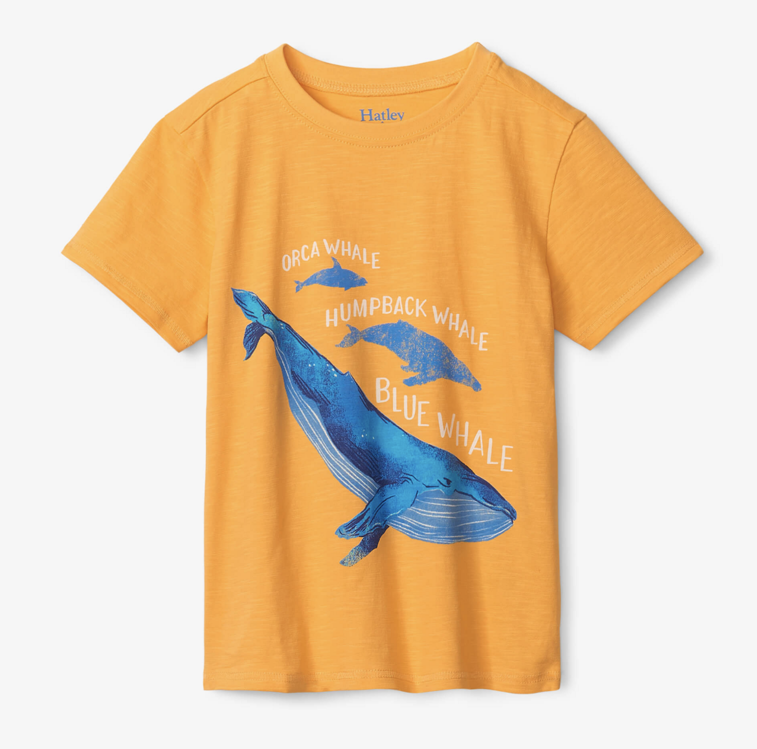 These Three Whales Graphic Tee