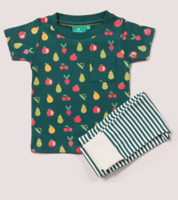 Vegetable Patch Organic Tee and Jogger Set