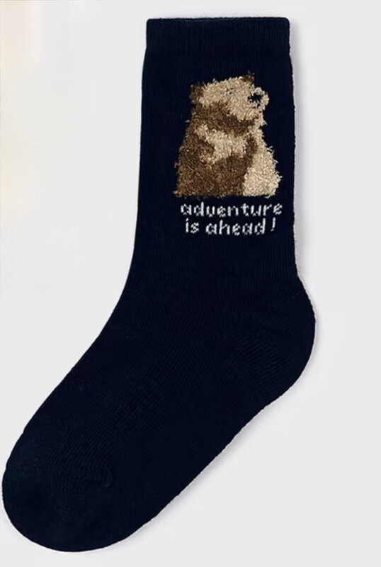 adventure is ahead bear socks 