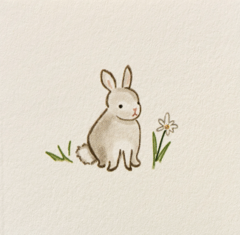 Karen Adams gift enclosure cards