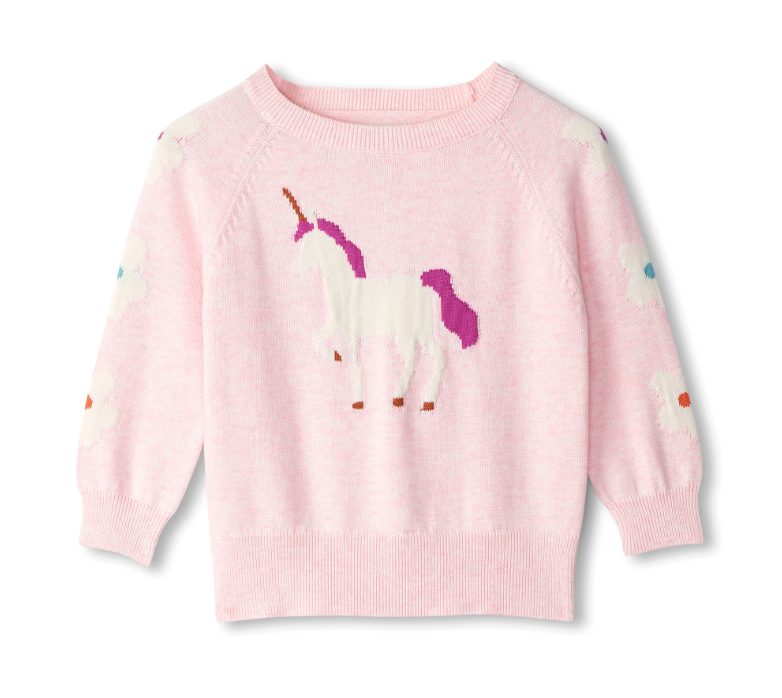 Fall Unicorn Raglan Pullover Sweater