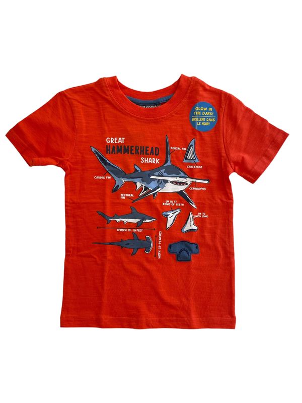 4137 Hammer head shark tee orange