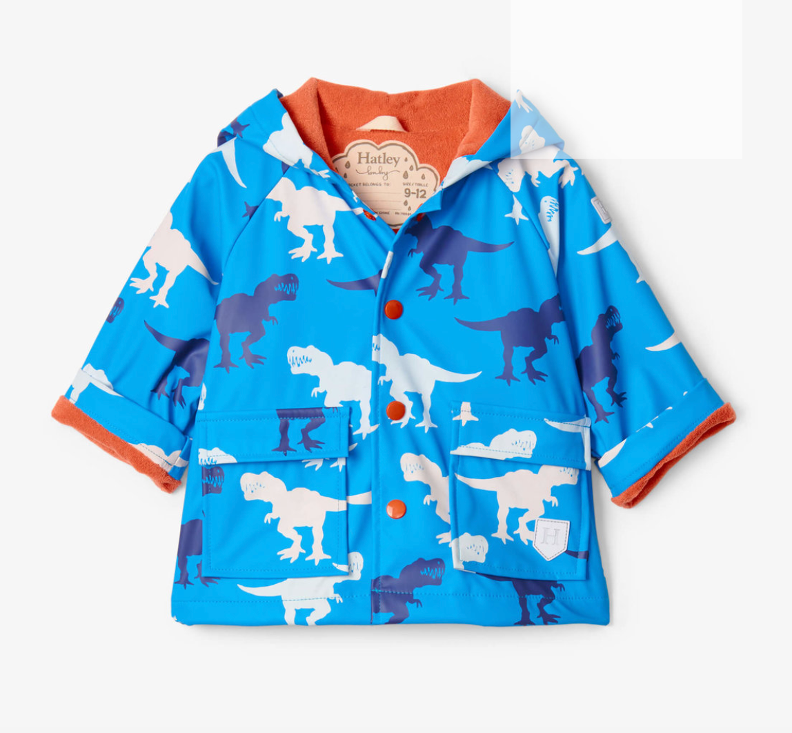 Giant T-Rex color changing rain coat