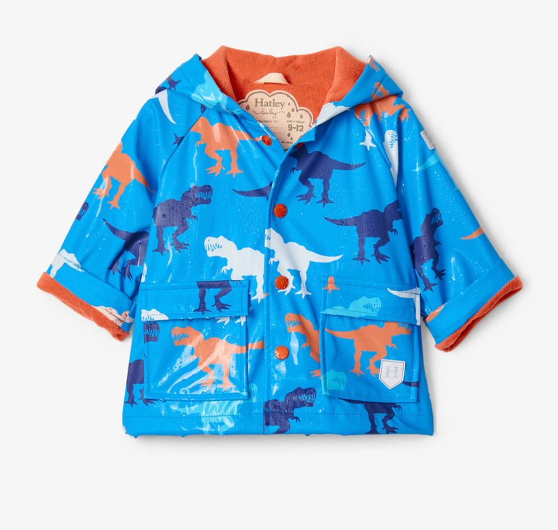 Giant T-Rex color changing rain coat