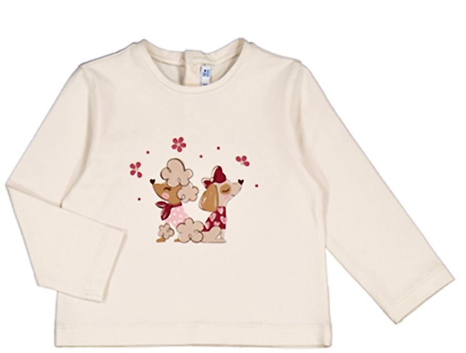 2825T poodle puppies top