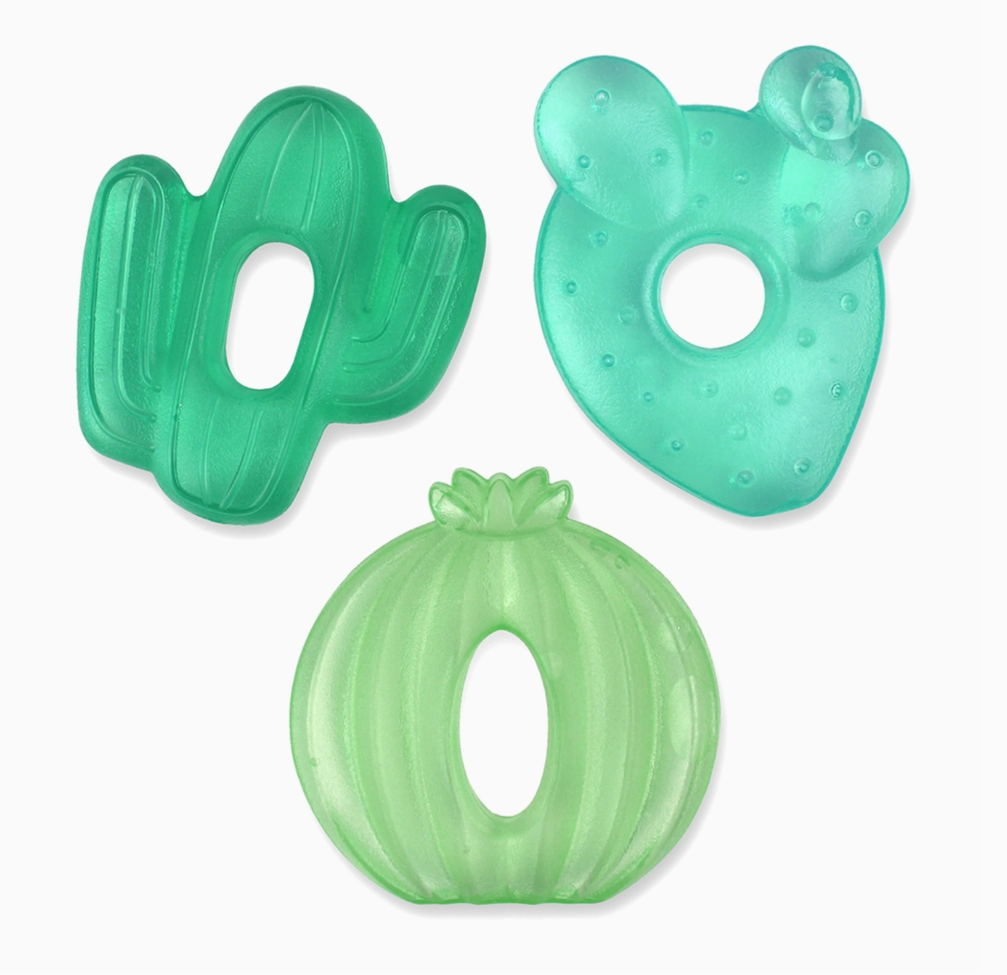 Cutie Coolers Cactus