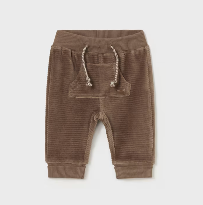 2525 corduroy baby jogger