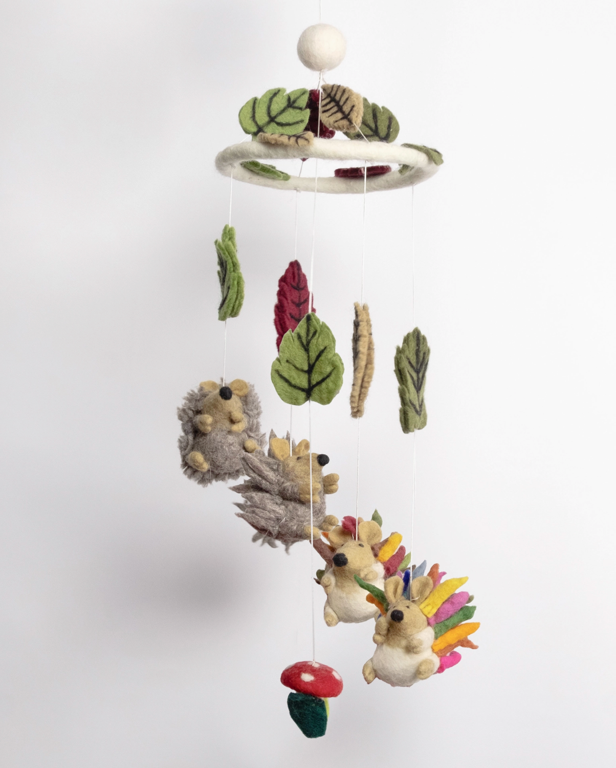 the winding road mobile hedgehogs