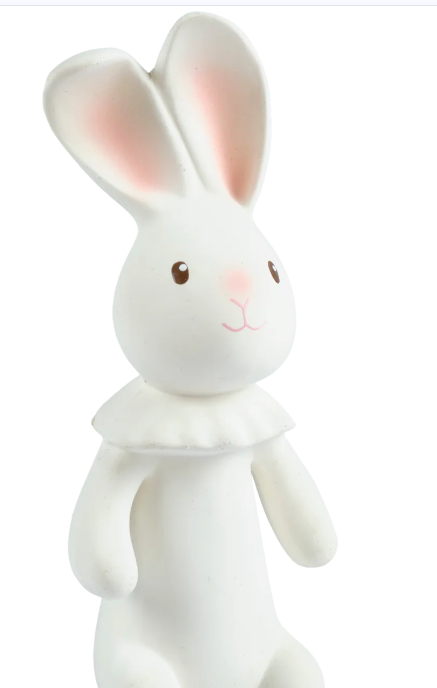 Havah The Bunny Squeaker Toy