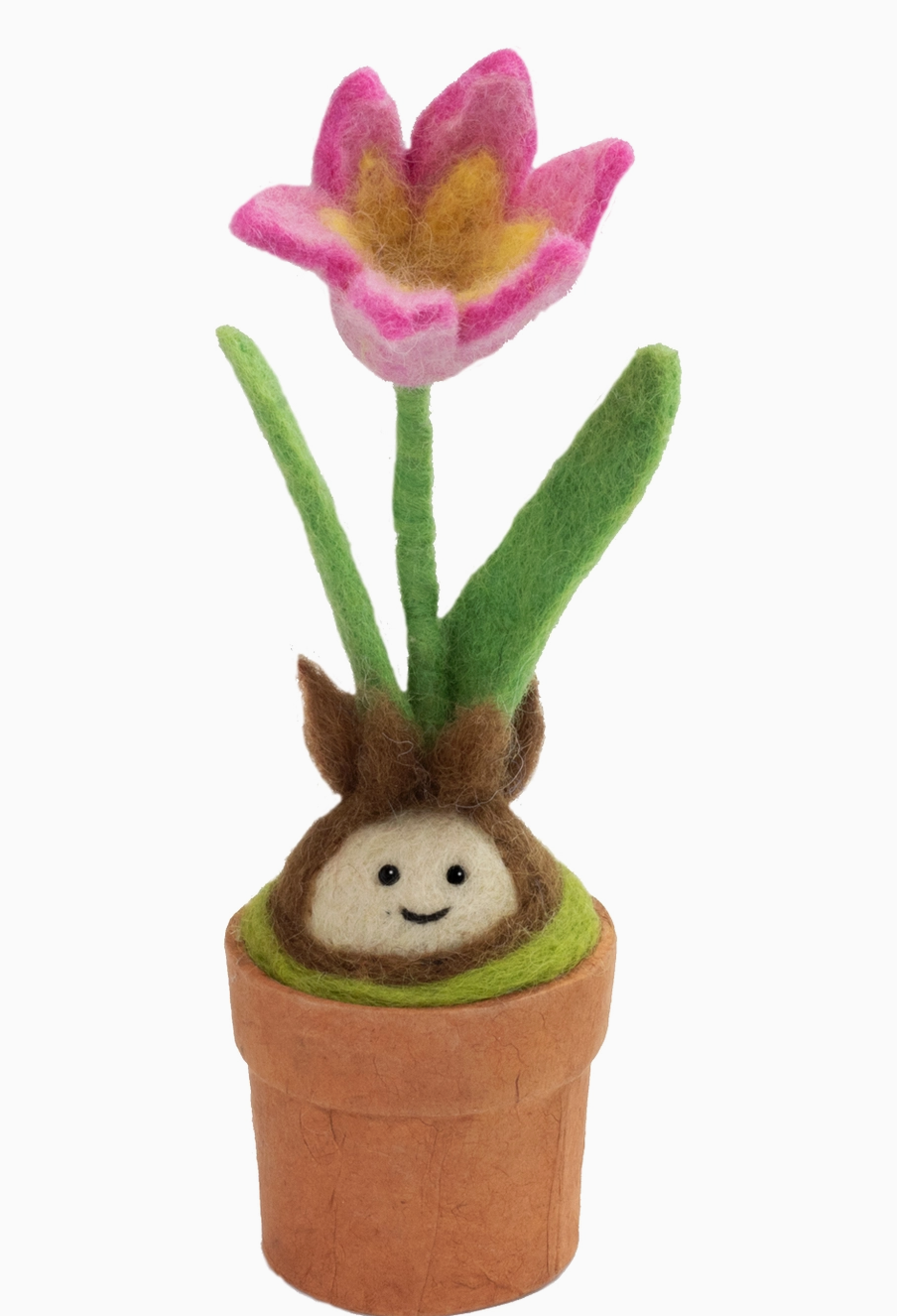 Faire Trade Potted Plant
