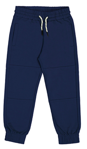 3869 joggers