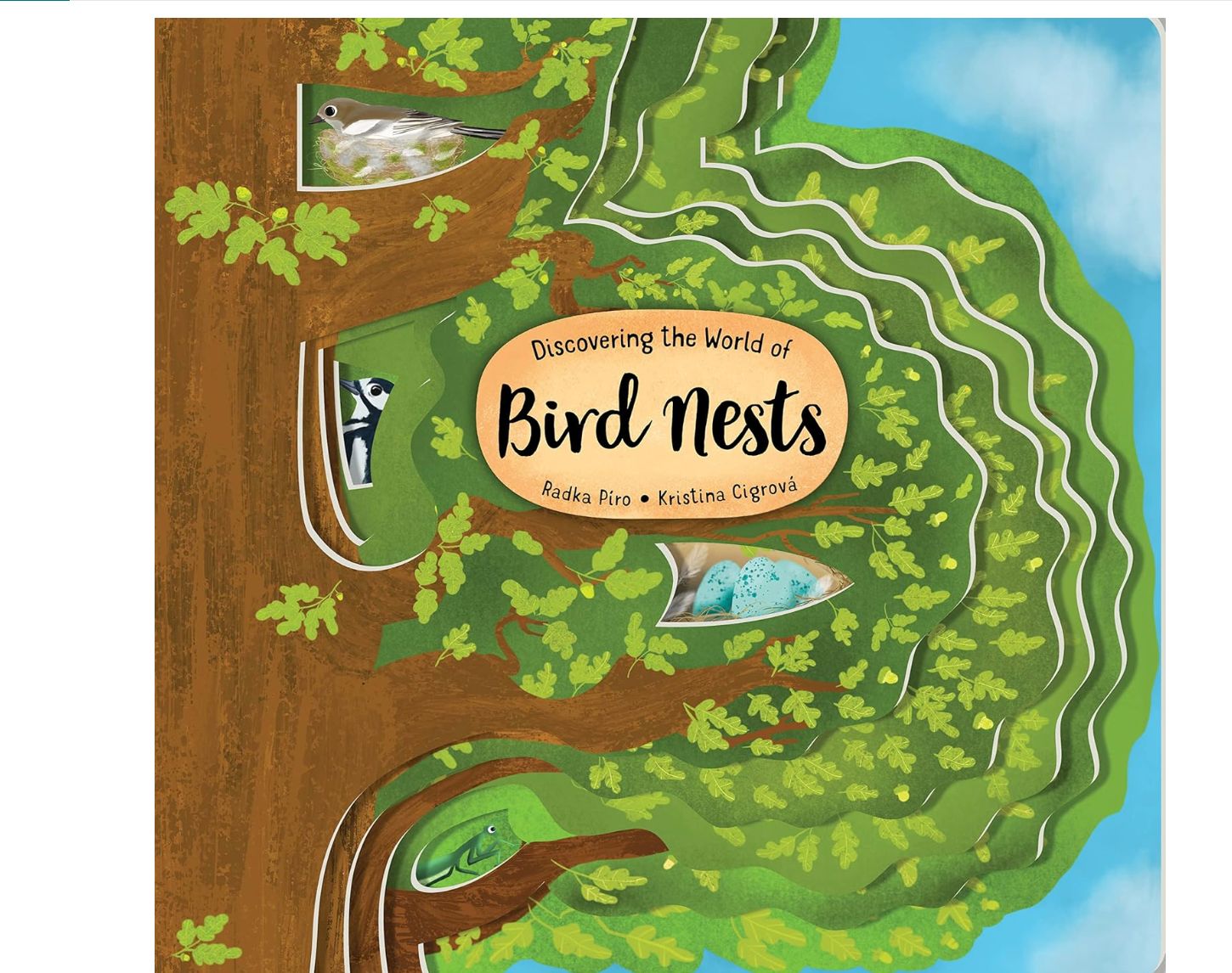 Birds Nest