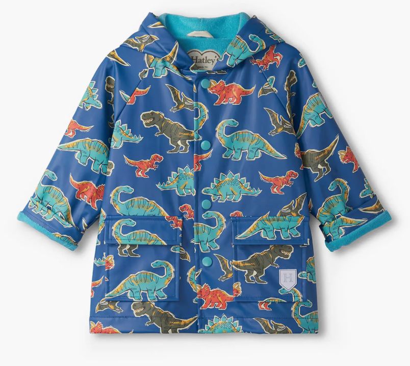 Dino Roar Snap Raincoat