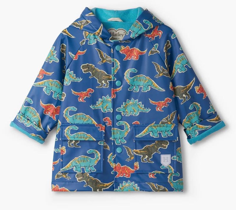 Dino Roar Snap Raincoat