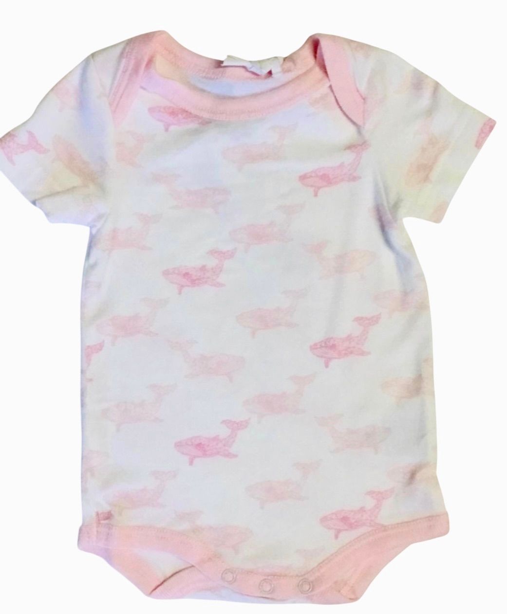 Coccoli Whale Bodysuit