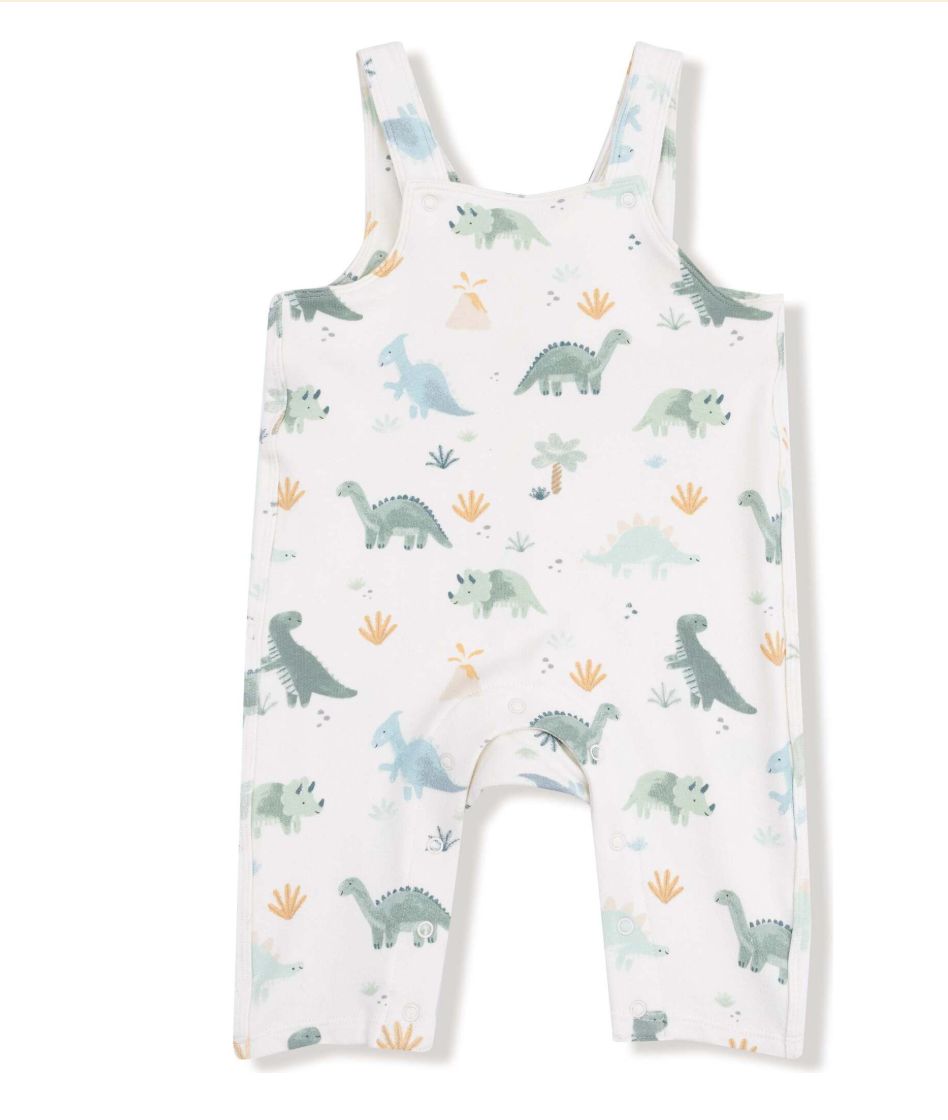Soft Dinos French Terry Overalls